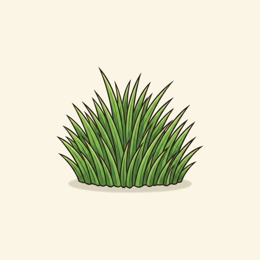 grass, عشب