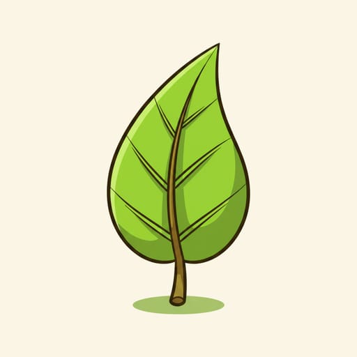 leaf, ورقة